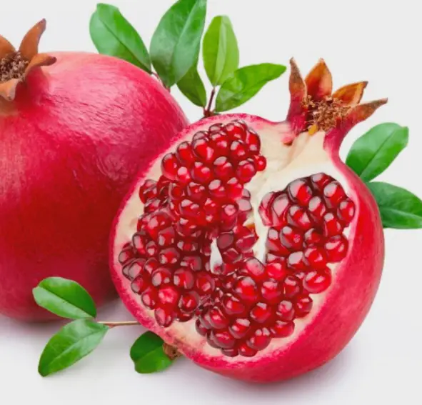 Pomegranate